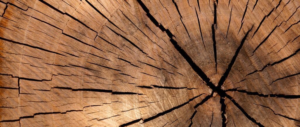 lumber, log, wood-84678.jpg