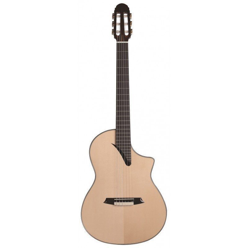Guitarra Martinez MSCC 14RS Palosanto Amplificada